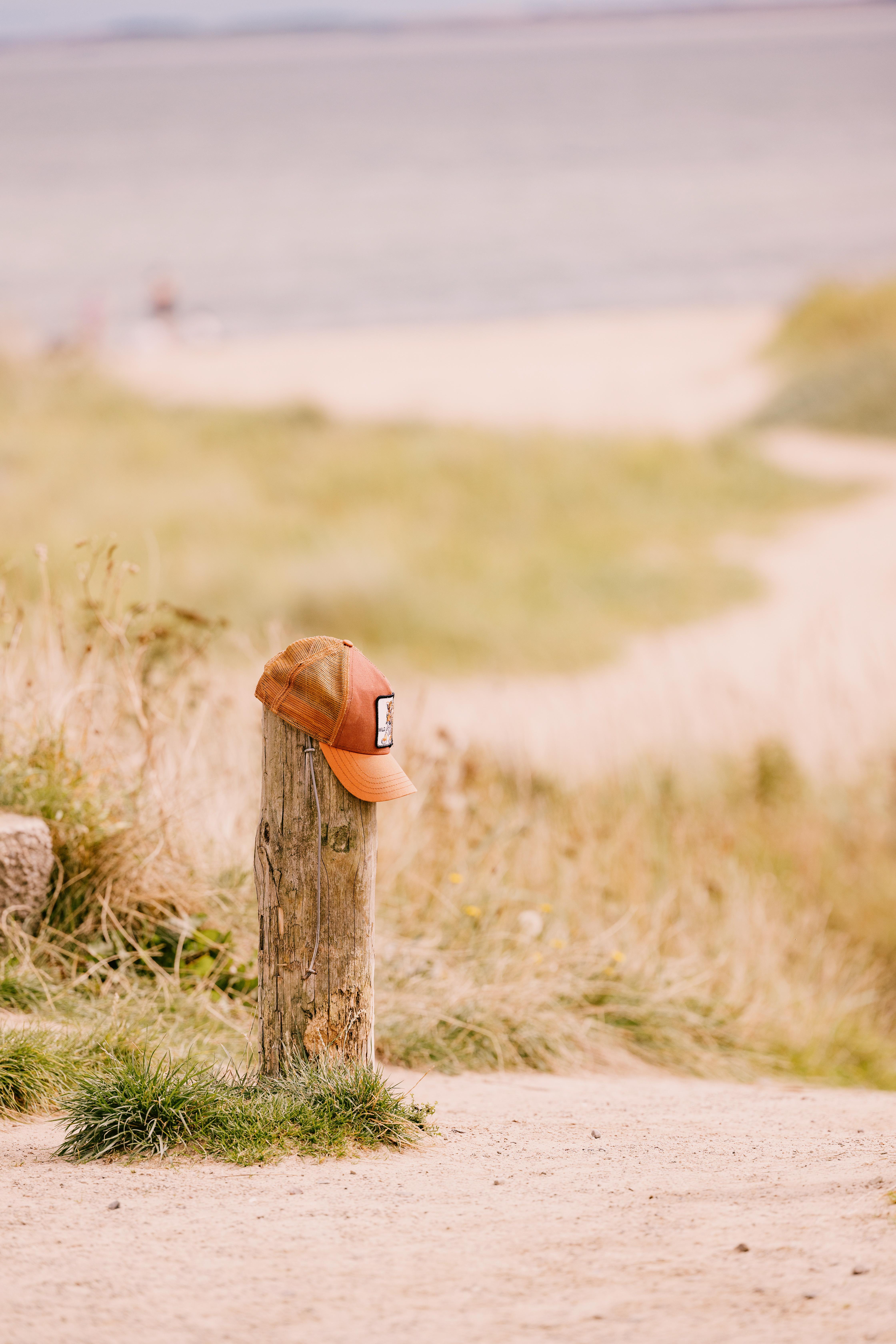 ホテル Dornoch Station エクステリア 写真 A hat on a fence post
